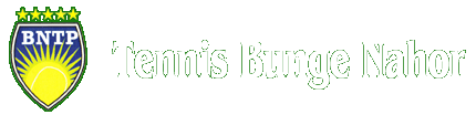 LogoBungeNahor